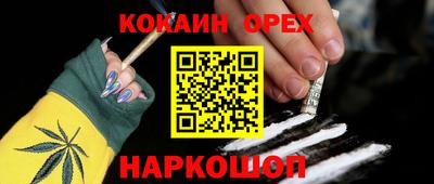 крисы Кулебаки