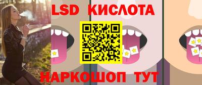крисы Кулебаки