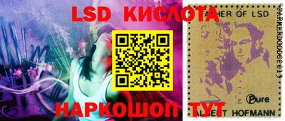 крисы Кулебаки