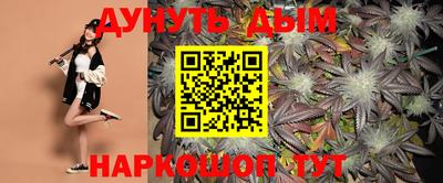 крисы Кулебаки