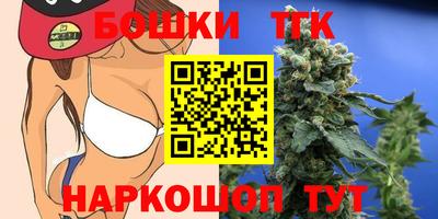крисы Кулебаки