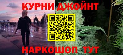 крисы Кулебаки